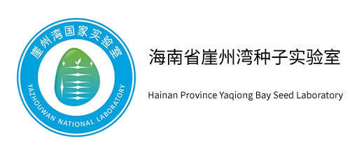 海南省崖州湾种子实验室