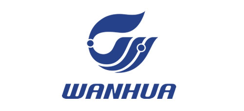 万华化学集团