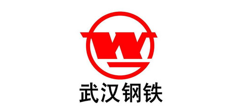 武汉钢铁（集团）公司
